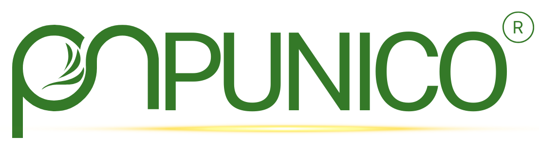 logo-punico